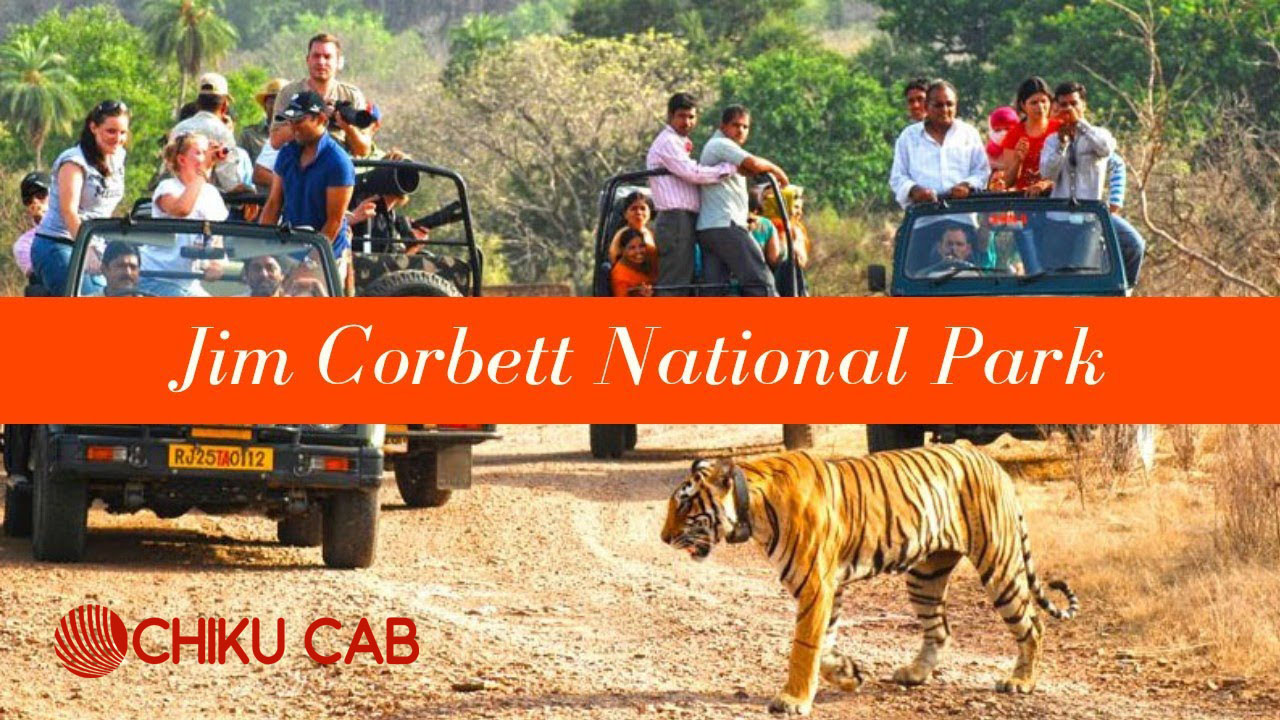 Ride In Comfort for the Jim Corbett Wildlife Safari | Chiku Cab Services