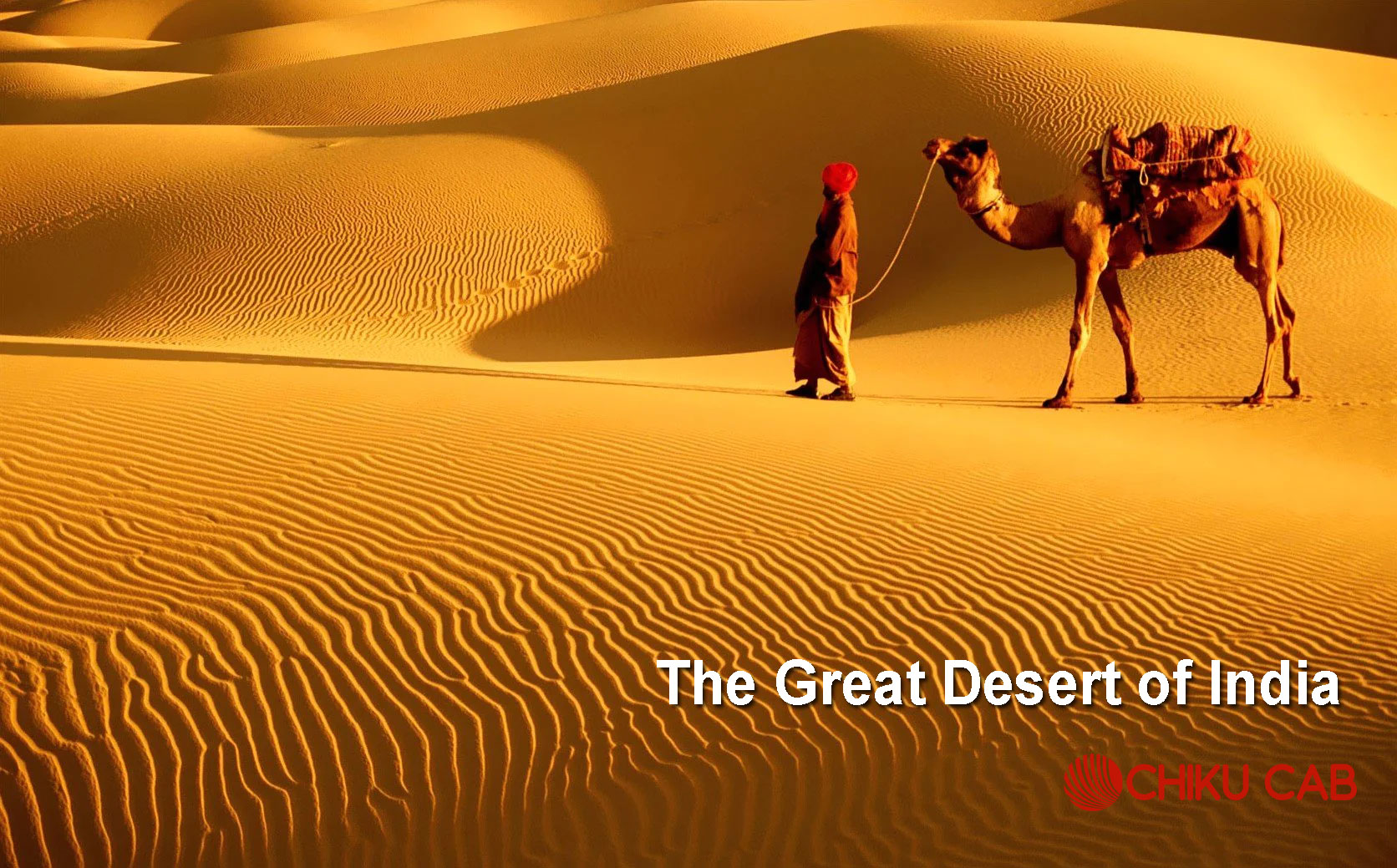Explore The Thar Desert In Rajasthan Ultimate Travel Guide 2025 Explore The Thar Desert In Rajasthan Ultimate Travel Guide 2025