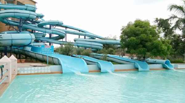Dolphin Water world
