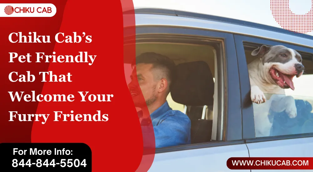 Pet Friendly Cab