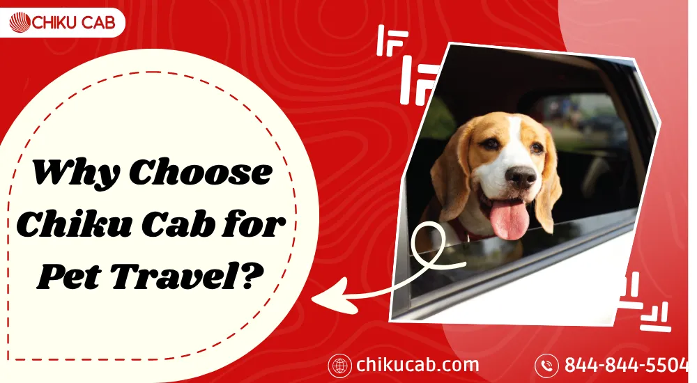Pet Friendly Cab service