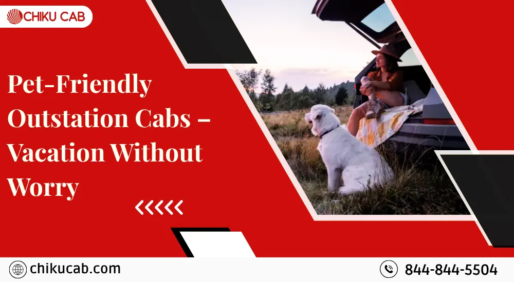 Pet Friendly Cab service