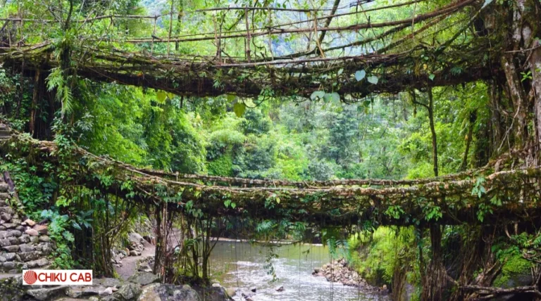 Meghalaya 
