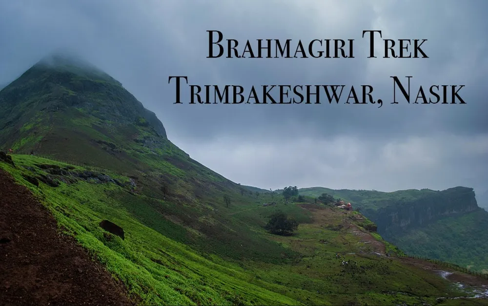 Trek to Brahmagiri Hill
