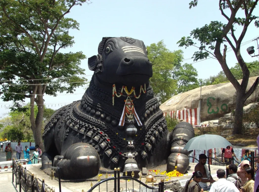 Nandi Hills