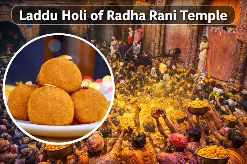 Laddu holi