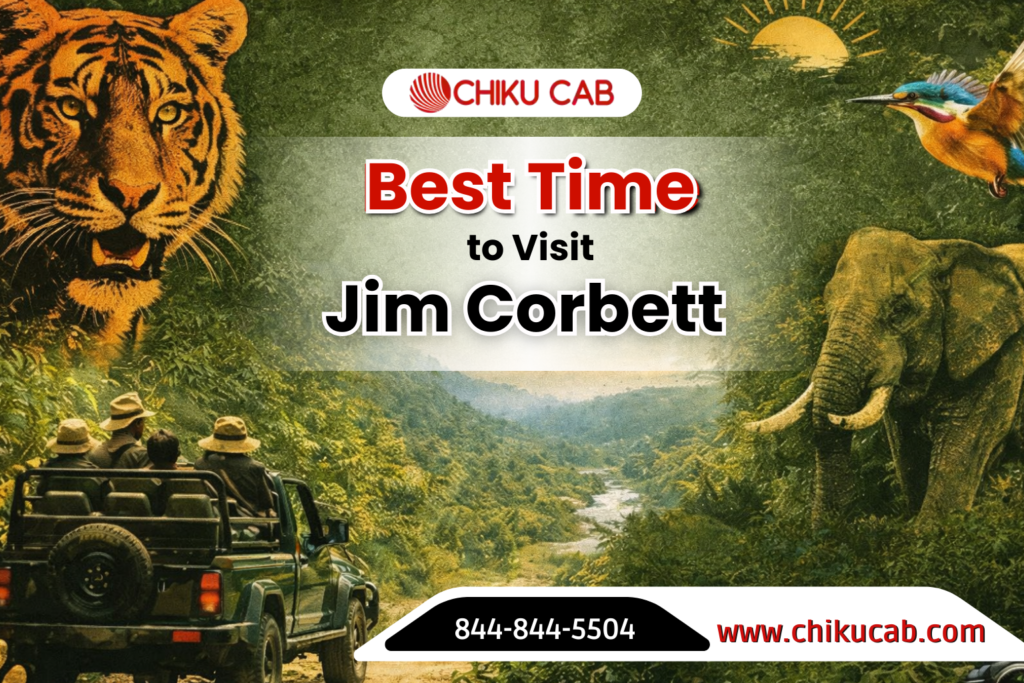 Best Time to Visit Jim Corbett