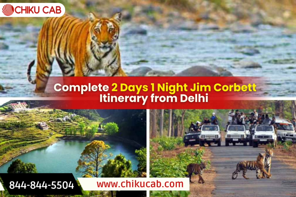Complete 2 Days 1 Night Jim Corbett Itinerary from Delhi