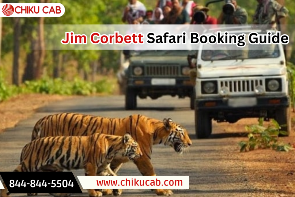 Jim Corbett Safari Booking Guide