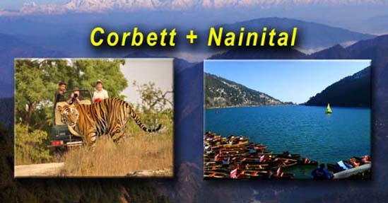  Nainital Corbett Tour