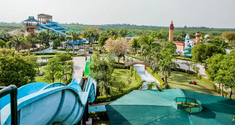 Dolphin Water Park