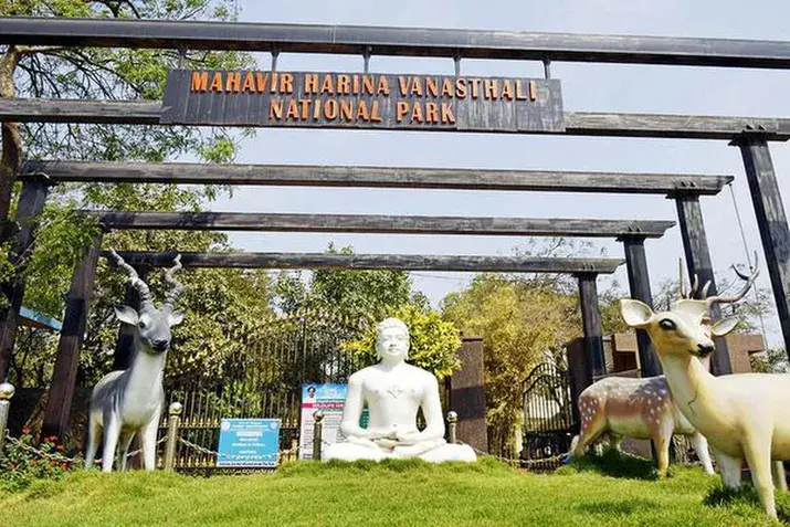 Mahavir Harina Vanasthali National Park View Hyderabad