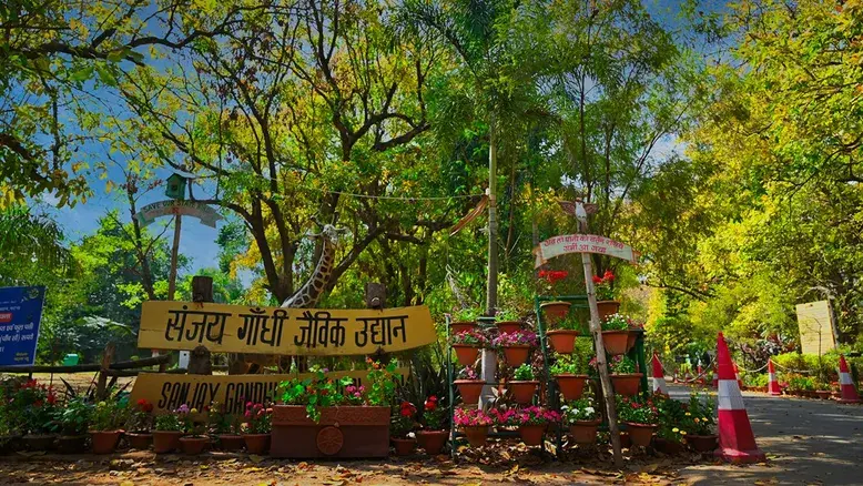 Sanjay Gandhi Biological Park View Patna
